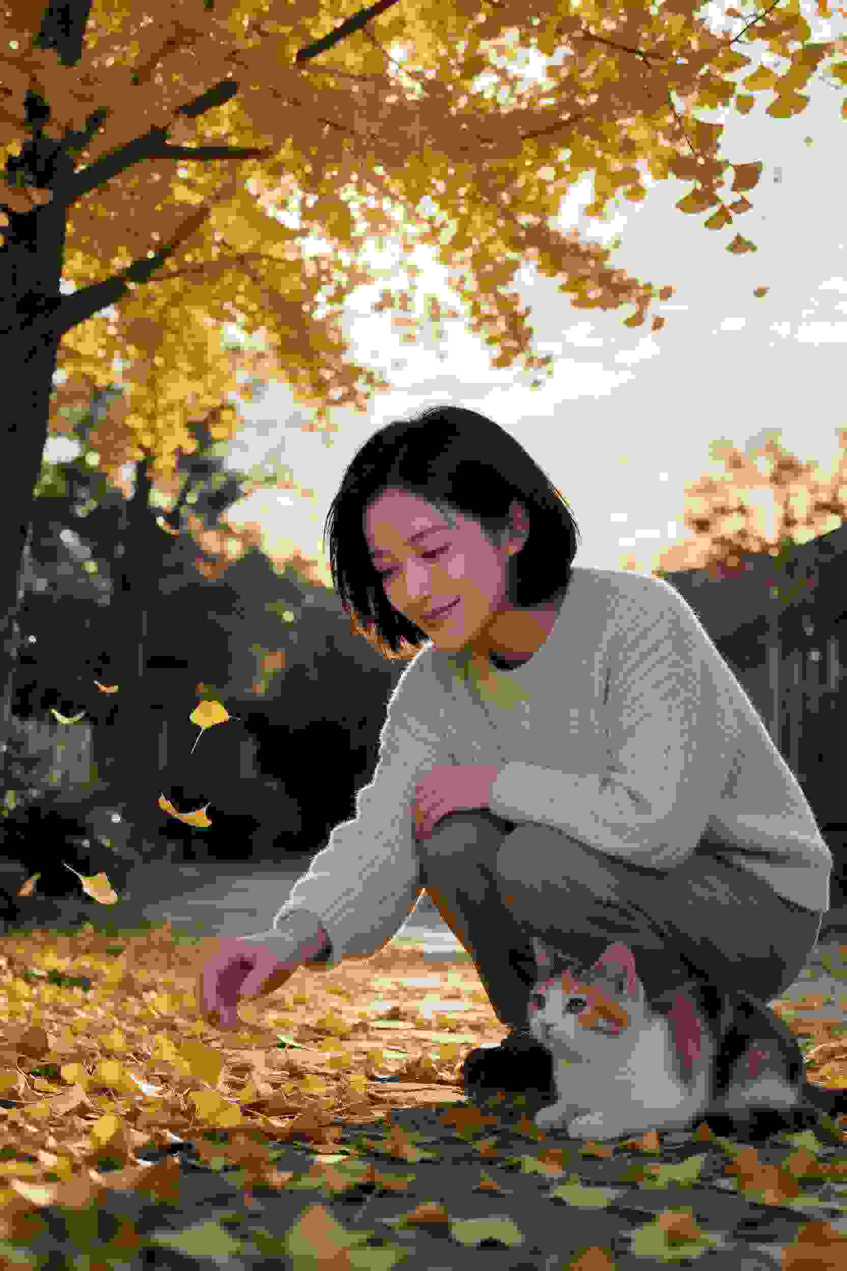 友谊岁月